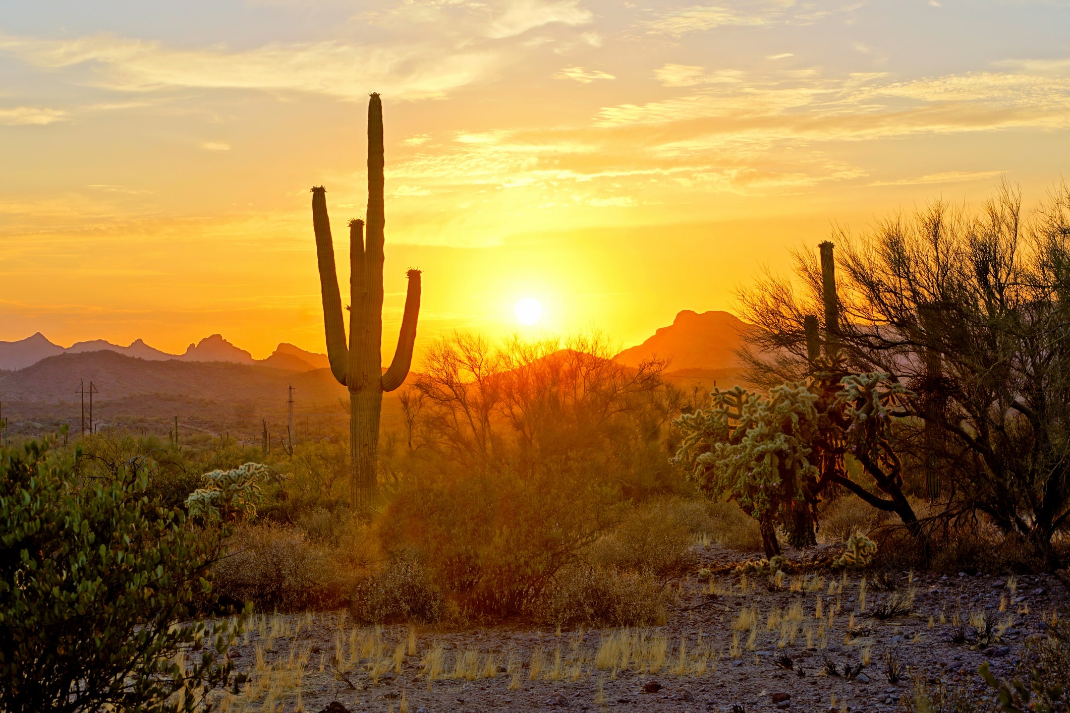 Tranquil Sunset at The Meadows Seasons